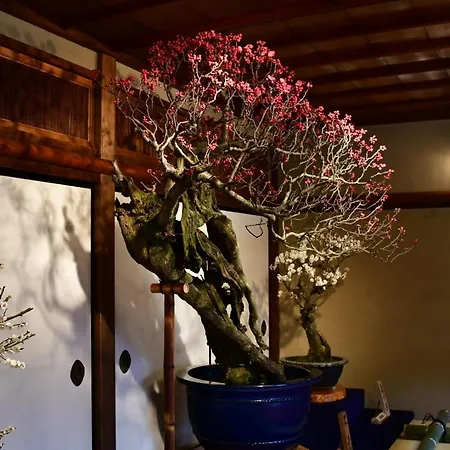 Appartement Cozy House K46, Free Wifi A Rented Electric Bicycle à Kyoto Extérieur photo