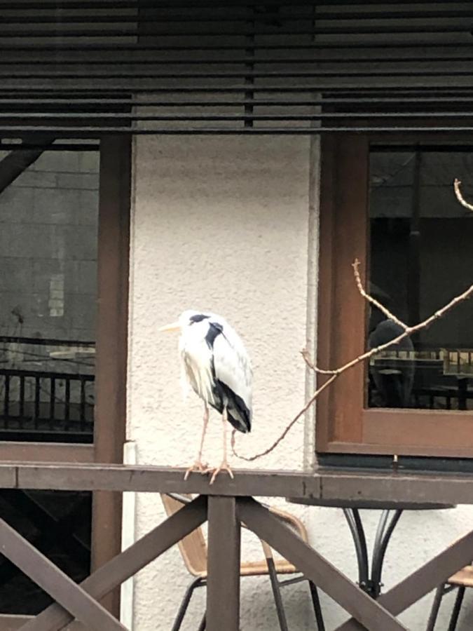 Cozy House K46, Free Wifi A Rented Electric Bicycle 公寓 京都