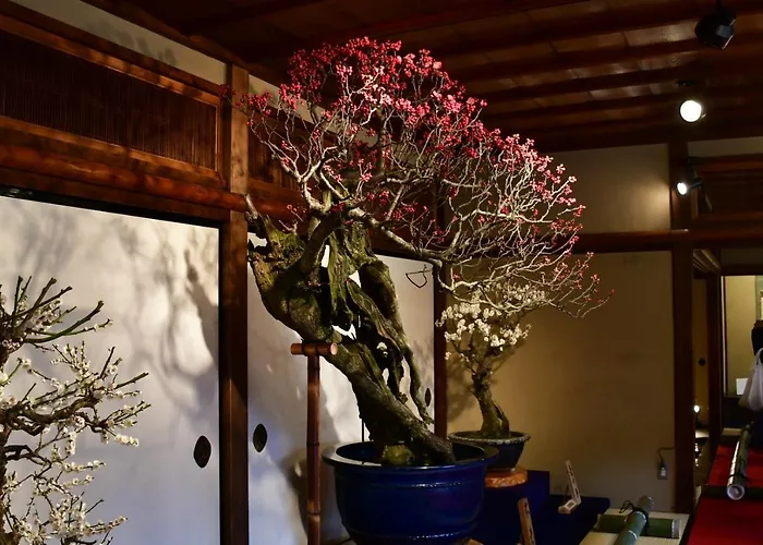 Cozy House K46, Free Wifi A Rented Electric Bicycle